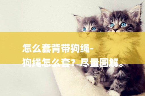 怎么套背帶狗繩-
狗繩怎么套？盡量圖解。