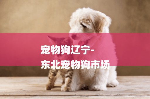 寵物狗遼寧-
東北寵物狗市場