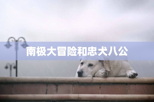 南極大冒險和忠犬八公