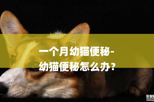 一個月幼貓便秘-
幼貓便秘怎么辦？