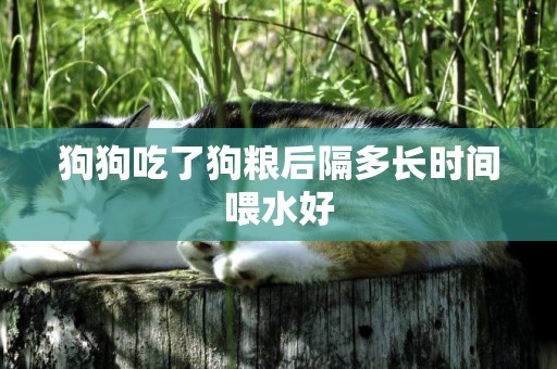 狗狗吃了狗糧后隔多長時間喂水好