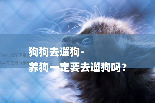 狗狗去遛狗-
養狗一定要去遛狗嗎？