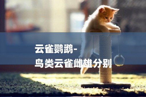 云雀鸚鵡-
鳥類云雀雌雄分別