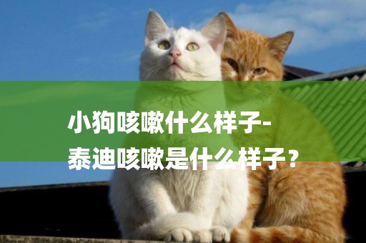 小狗咳嗽什么樣子-
泰迪咳嗽是什么樣子？