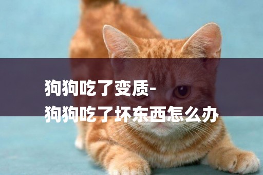 狗狗吃了變質-
狗狗吃了壞東西怎么辦