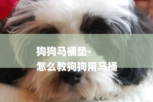 狗狗馬桶墊-
怎么教狗狗用馬桶