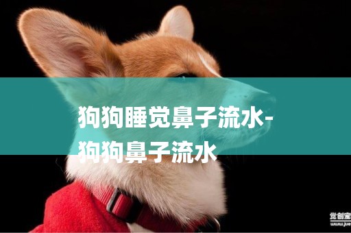 狗狗睡覺鼻子流水-
狗狗鼻子流水