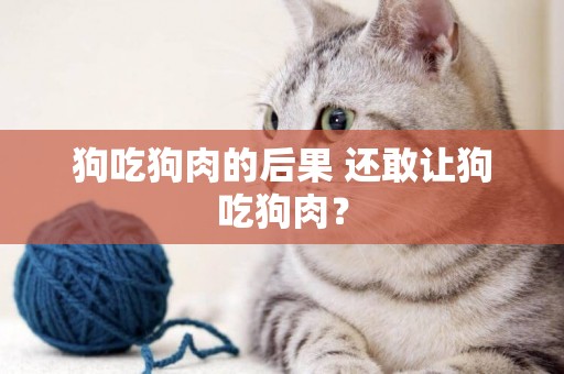 狗吃狗肉的后果 還敢讓狗吃狗肉？