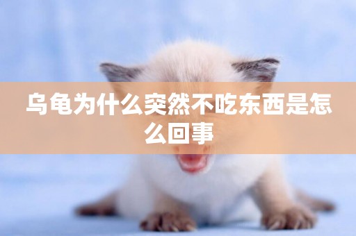 烏龜為什么突然不吃東西是怎么回事