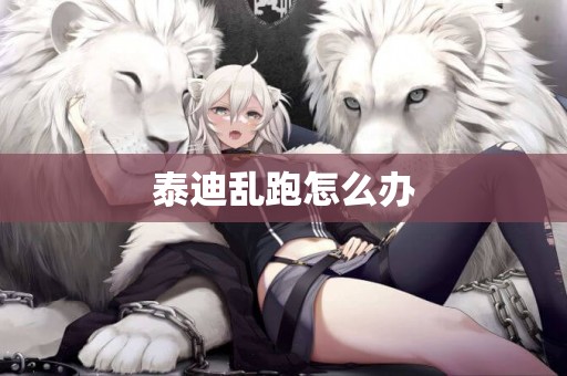 泰迪亂跑怎么辦