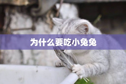 為什么要吃小兔兔
