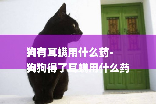 狗有耳螨用什么藥-
狗狗得了耳螨用什么藥