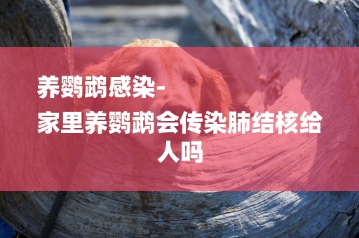 養鸚鵡感染-
家里養鸚鵡會傳染肺結核給人嗎