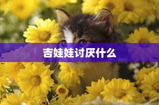 吉娃娃討厭什么