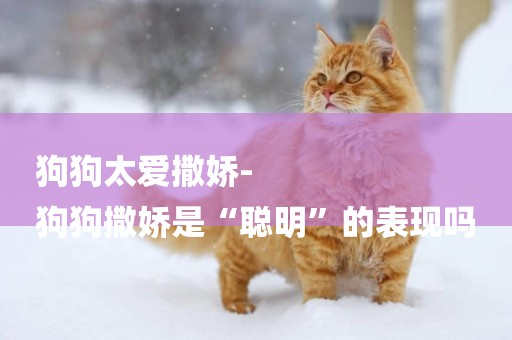 狗狗太愛撒嬌-
狗狗撒嬌是“聰明”的表現嗎