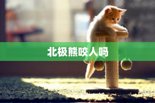 北極熊咬人嗎