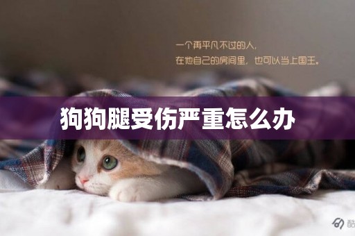 狗狗腿受傷嚴重怎么辦