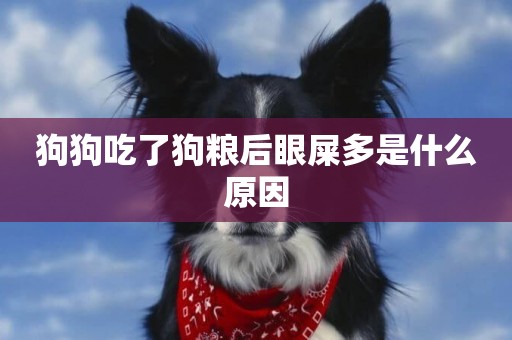 狗狗吃了狗糧后眼屎多是什么原因