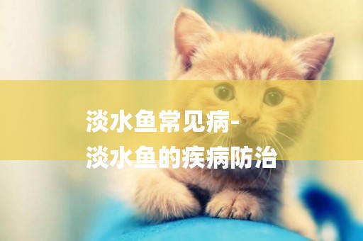 淡水魚常見病-
淡水魚的疾病防治