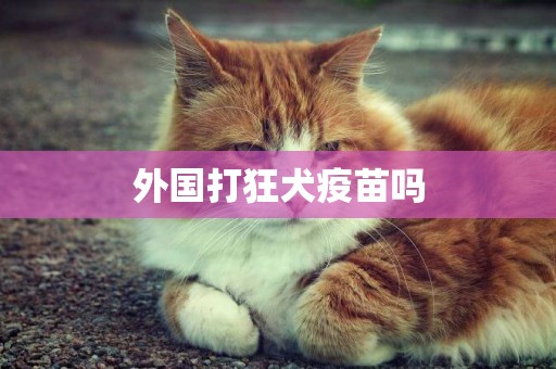 外國打狂犬疫苗嗎