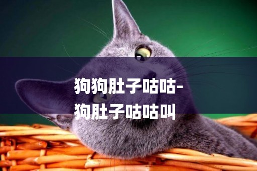 狗狗肚子咕咕-
狗肚子咕咕叫