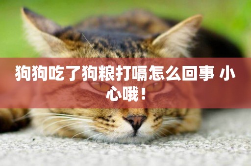 狗狗吃了狗糧打嗝怎么回事 小心哦！