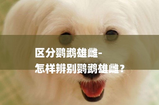 區分鸚鵡雄雌-
怎樣辨別鸚鵡雄雌？