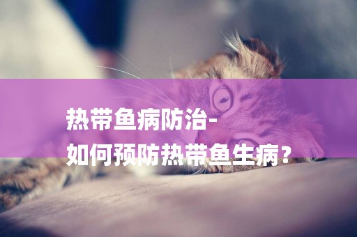 熱帶魚病防治-
如何預防熱帶魚生病？
