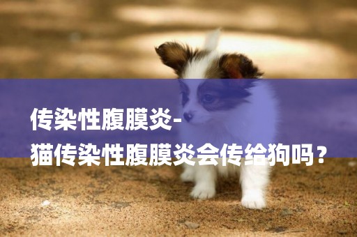 傳染性腹膜炎-
貓傳染性腹膜炎會傳給狗嗎？