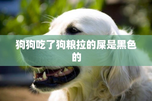狗狗吃了狗糧拉的屎是黑色的