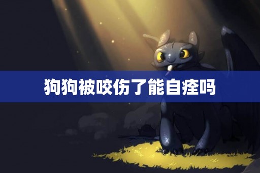 狗狗被咬傷了能自痊嗎