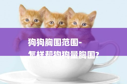 狗狗胸圍范圍-
怎樣幫狗狗量胸圍?