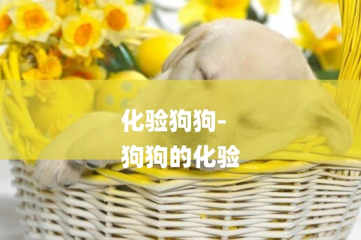 化驗狗狗-
狗狗的化驗