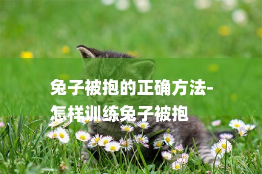 兔子被抱的正確方法-
怎樣訓練兔子被抱