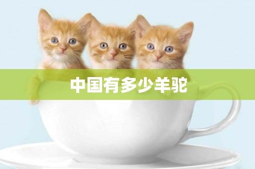 中國有多少羊駝