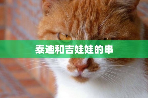 泰迪和吉娃娃的串