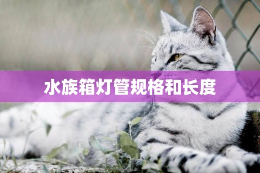 水族箱燈管規格和長度