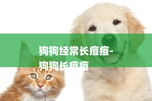 狗狗經常長痘痘-
狗狗長痘痘