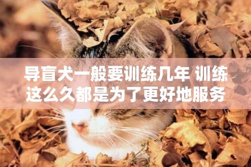 導盲犬一般要訓練幾年 訓練這么久都是為了更好地服務人類