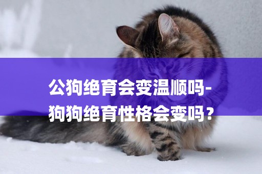 公狗絕育會變溫順嗎-
狗狗絕育性格會變嗎？