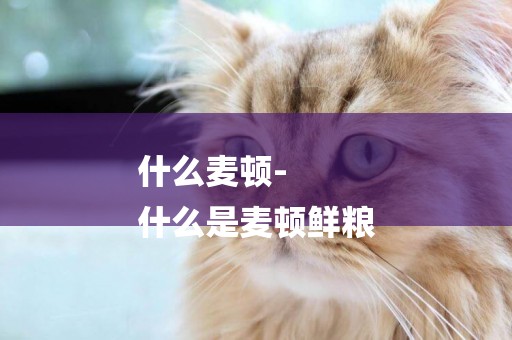 什么麥頓-
什么是麥頓鮮糧