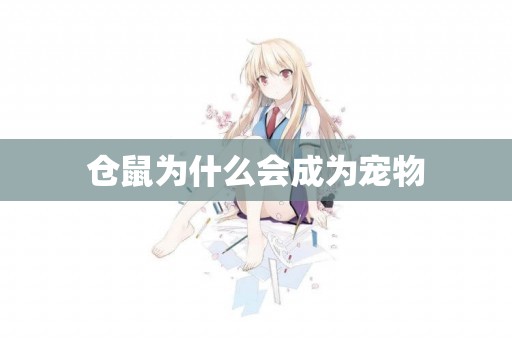 倉鼠為什么會成為寵物