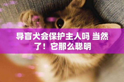 導盲犬會保護主人嗎 當然了！它那么聰明