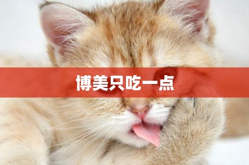 博美只吃一點