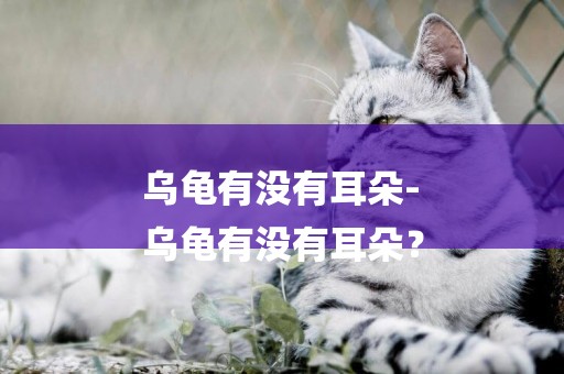 烏龜有沒有耳朵-
烏龜有沒有耳朵？
