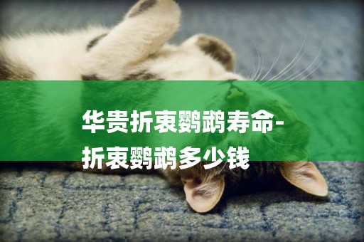 華貴折衷鸚鵡壽命-
折衷鸚鵡多少錢