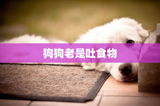 狗狗老是吐食物