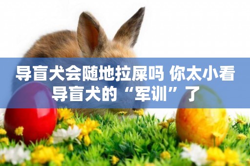 導盲犬會隨地拉屎嗎 你太小看導盲犬的“軍訓”了