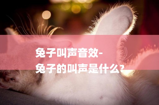 兔子叫聲音效-
兔子的叫聲是什么?