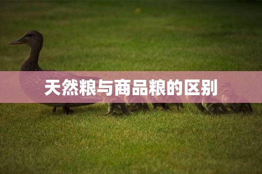 天然糧與商品糧的區別
